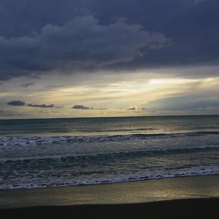 Family Homes - Eda *